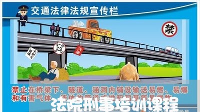 法院刑事培训课程 法院刑事培训课程