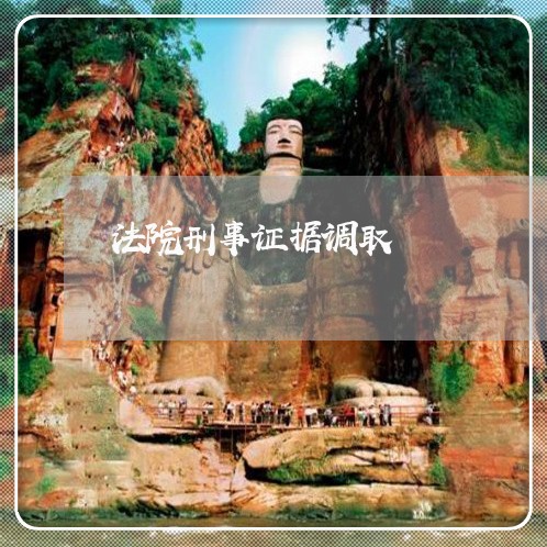 法院刑事证据调取 法院刑事证据调取