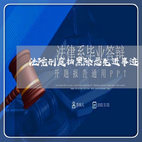 法院刑庭扫黑除恶先进事迹