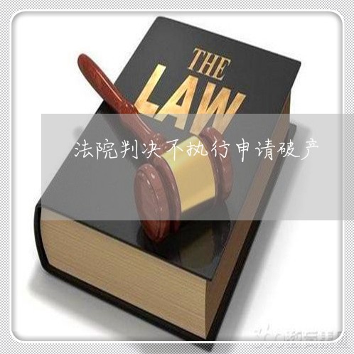 法院判决不执行申请破产 法院判决不执行申请破产