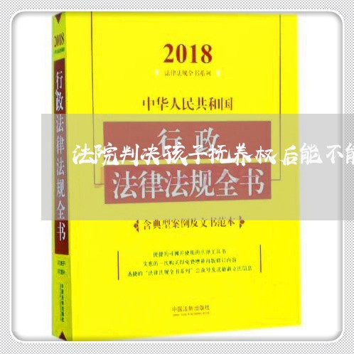 法院判决孩子抚养权后能不能更改