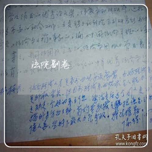 法院副卷 法院副卷
