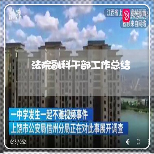 法院副科干部工作总结 法院副科干部工作总结