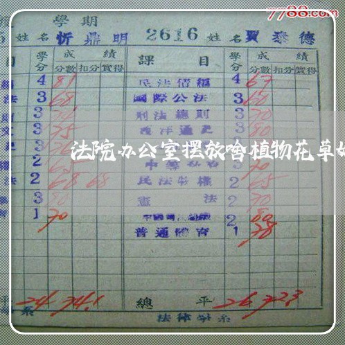 法院办公室摆放啥植物花草好 法院办公室摆放啥植物花草好