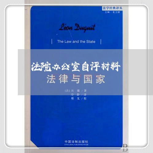 法院办公室自评材料