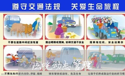 法院动态管理 法院动态管理