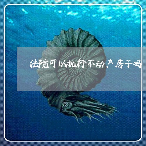 法院可以执行不动产房子吗 法院可以执行不动产房子吗