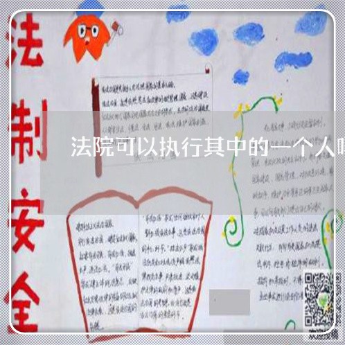 法院可以执行其中的一个人吗