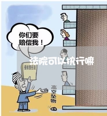 法院可以执行嘛 法院可以执行嘛