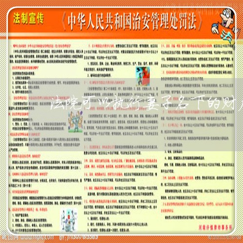 法院可以执行妻子名下的财产吗 法院可以执行妻子名下的财产吗
