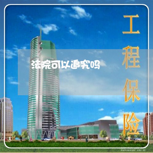法院可以追究吗 法院可以追究吗