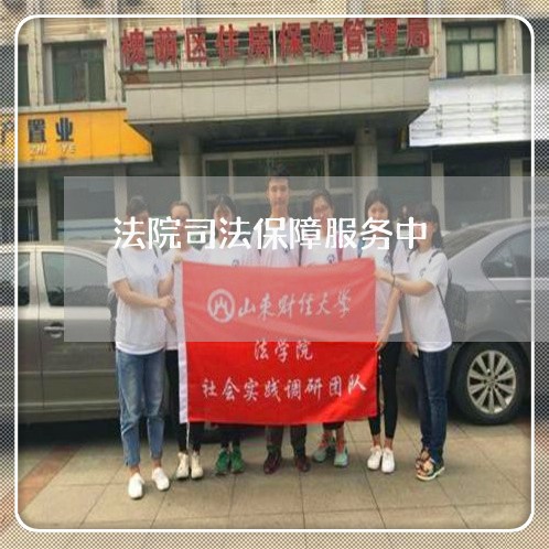 法院司法保障服务中