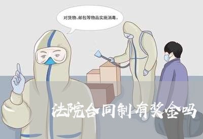 法院合同制有奖金吗