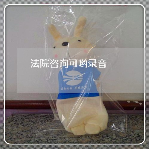 法院咨询可哟录音 法院咨询可哟录音