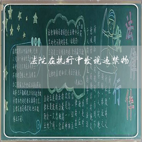 法院在执行中发现违禁物