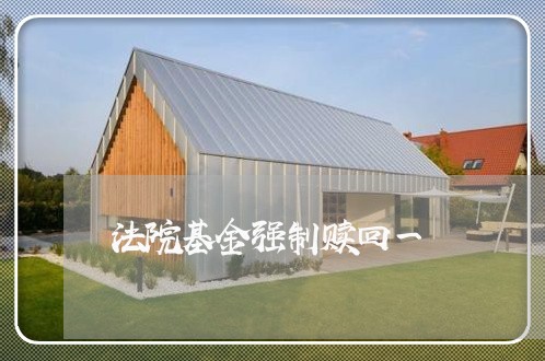 法院基金强制赎回一 法院基金强制赎回一