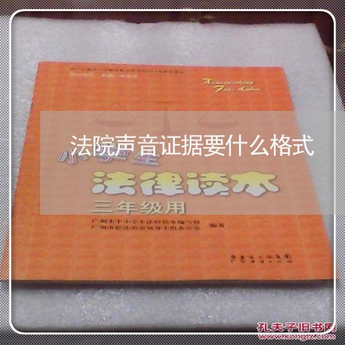 法院声音证据要什么格式