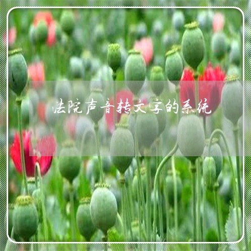 法院声音转文字的系统 法院声音转文字的系统