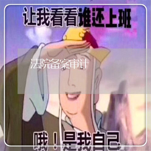 法院备案审计 法院备案审计