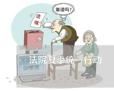 法院夏季统一行动 法院夏季统一行动