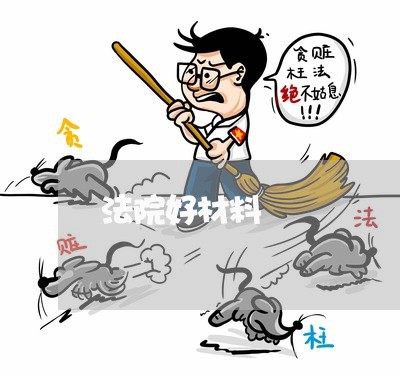 法院好材料 法院好材料