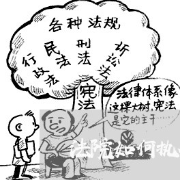 法院如何执行股东的租金收入