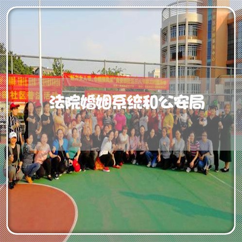 法院婚姻系统和公安局 法院婚姻系统和公安局