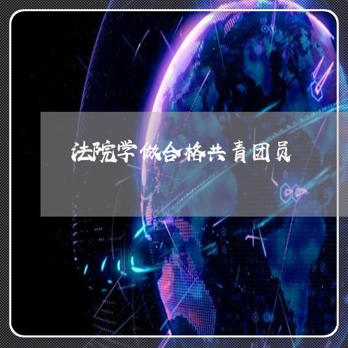 法院学做合格共青团员