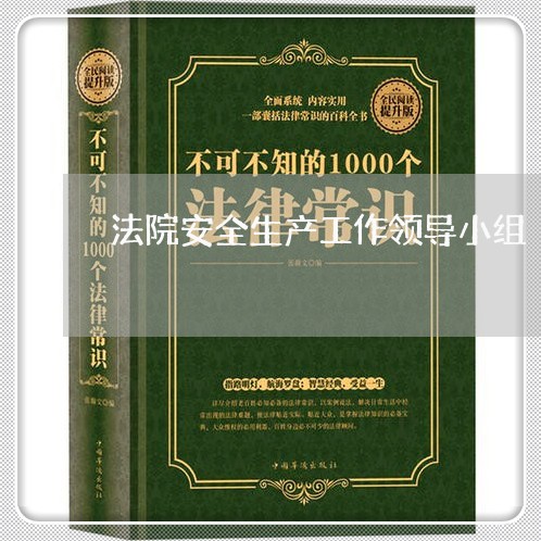 法院安全生产工作领导小组 法院安全生产工作领导小组