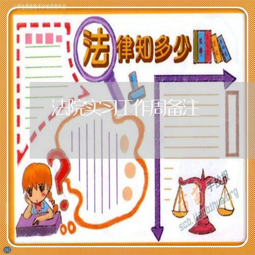 法院实习工作周备注