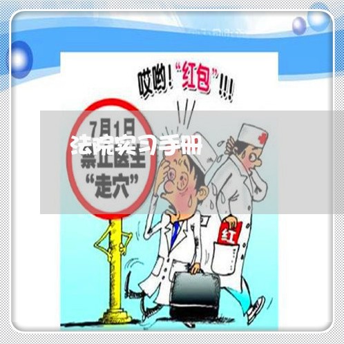法院实习手册 法院实习手册