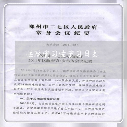 法院实习生实习日志