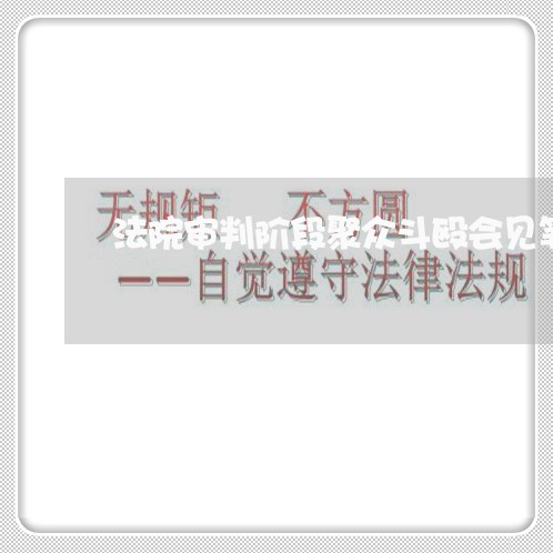 法院审判阶段聚众斗殴会见笔录