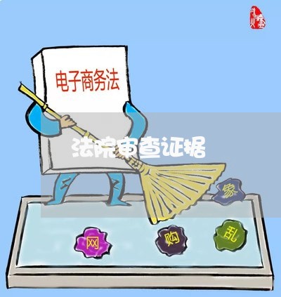 法院审查证据