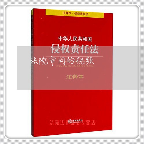 法院审问的视频 法院审问的视频