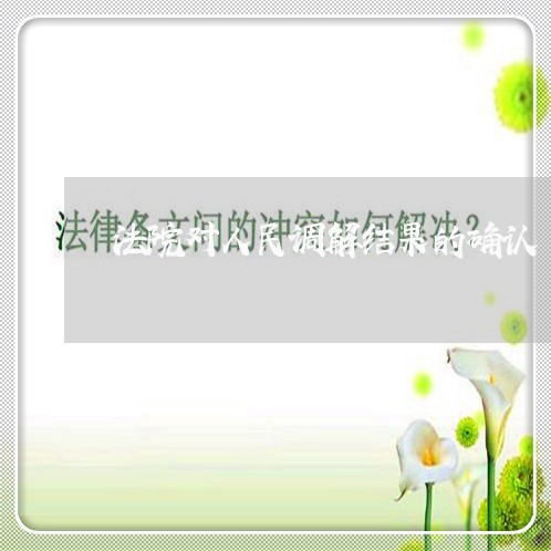 法院对人民调解结果的确认