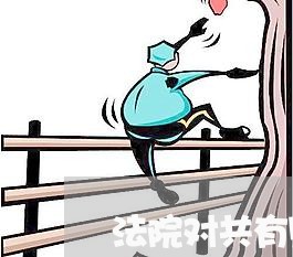 法院对共有财产的分配原则 法院对共有财产的分配原则
