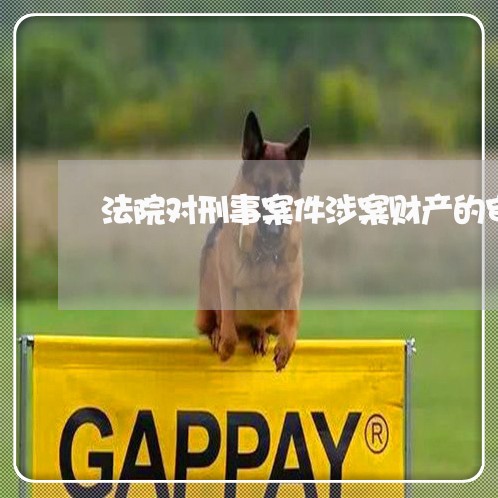 法院对刑事案件涉案财产的审查