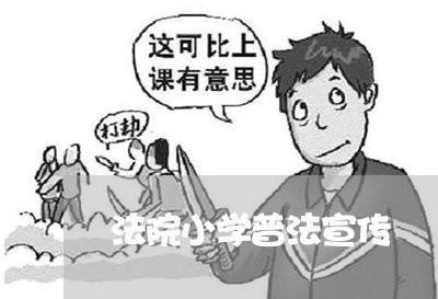 法院小学普法宣传