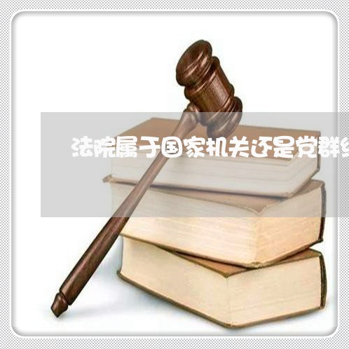法院属于国家机关还是党群组织