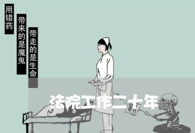 法院工作二十年
