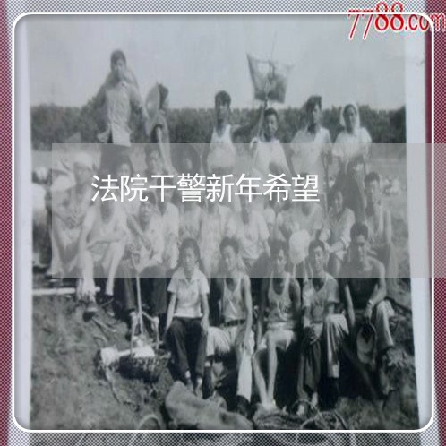法院干警新年希望