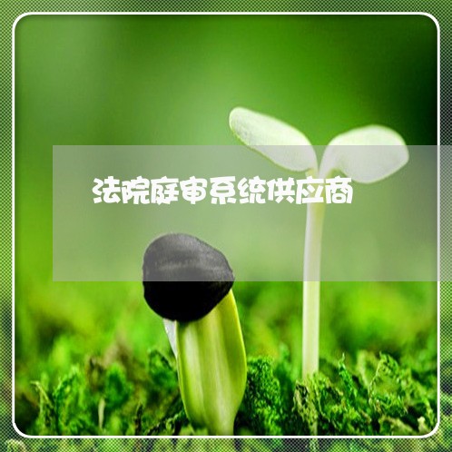 法院庭审系统供应商 法院庭审系统供应商