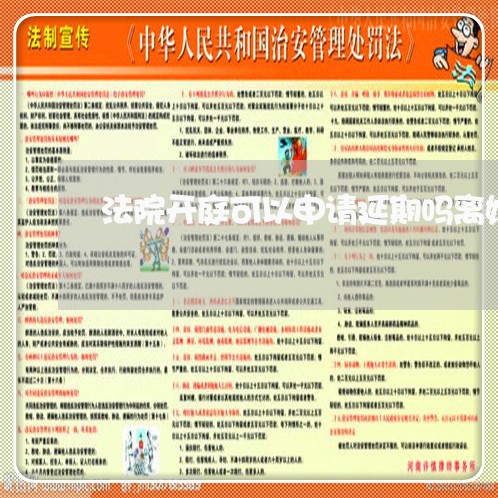 法院开庭可以申请延期吗离婚