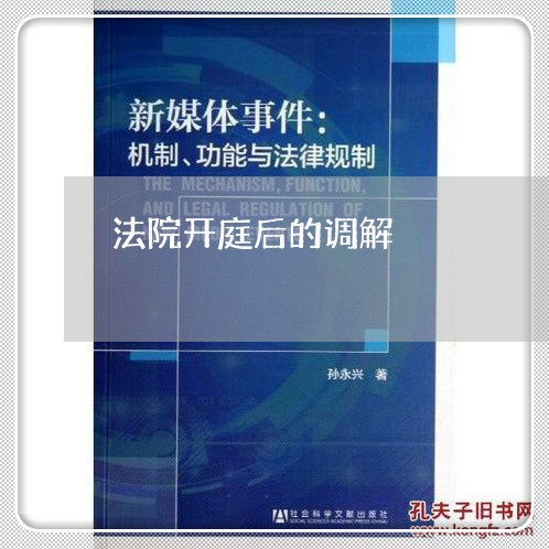 法院开庭后的调解