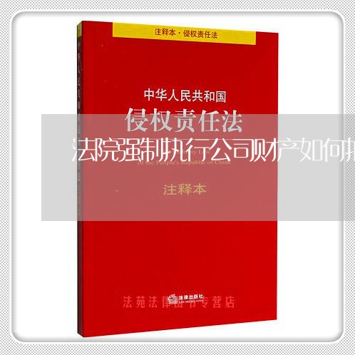 法院强制执行公司财产如何拍卖 法院强制执行公司财产如何拍卖