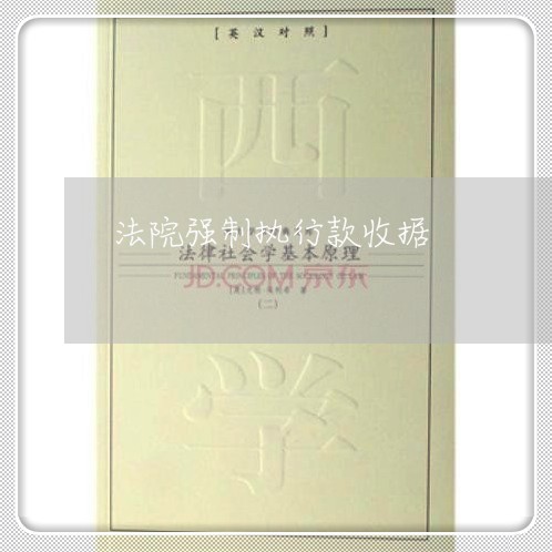 法院强制执行款收据 法院强制执行款收据