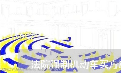 法院强制机动车买方过户 法院强制机动车买方过户