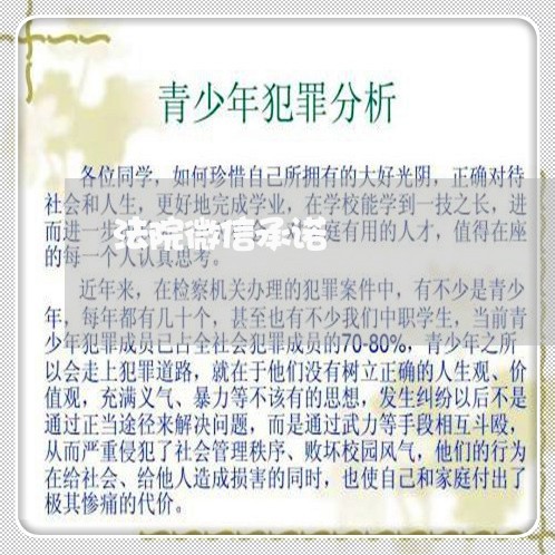 法院微信承诺 法院微信承诺