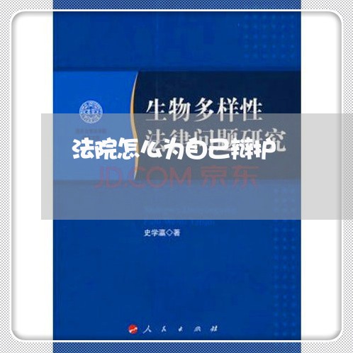 法院怎么为自己辩护 法院怎么为自己辩护